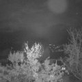 Webcam_20231126-074500