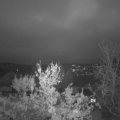 Webcam_20231126-080000