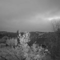 Webcam_20231126-081500