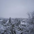 Webcam_20231128-111500