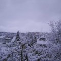 Webcam_20231128-173000