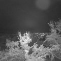 Webcam_20231128-191500