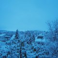 Webcam_20231129-090000