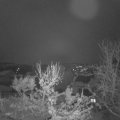 Webcam_20231201-070000