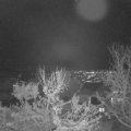 Webcam_20231201-194500