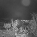 Webcam_20231202-191500