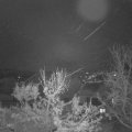 Webcam_20231203-054500