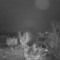 Webcam_20231203-080000