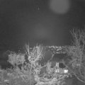 Webcam_20231203-190000