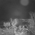 Webcam_20231203-214500