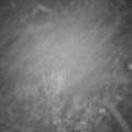 Webcam_20231206-054500