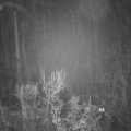 Webcam_20231206-060000
