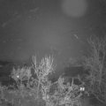 Webcam_20231206-063000