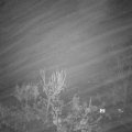 Webcam_20231206-064500