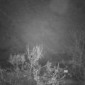Webcam_20231206-070000