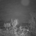 Webcam_20231206-071500