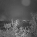 Webcam_20231206-073000