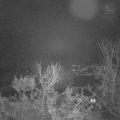 Webcam_20231207-061500