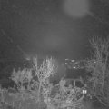 Webcam_20231207-063000