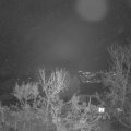 Webcam_20231207-064500