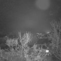 Webcam_20231207-070000