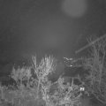 Webcam_20231207-071500
