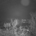 Webcam_20231207-073000