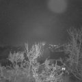 Webcam_20231207-074500