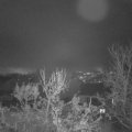 Webcam_20231207-080000