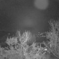 Webcam_20231208-050000
