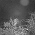 Webcam_20231208-061500