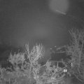 Webcam_20231209-060000