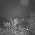 Webcam_20231209-064500