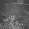 Webcam_20231209-070000