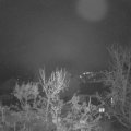 Webcam_20231209-080000