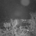 Webcam_20231210-190000