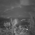 Webcam_20231212-081500