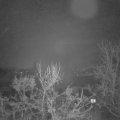 Webcam_20231213-050000