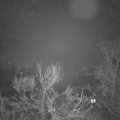 Webcam_20231213-051500