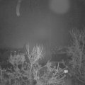 Webcam_20231213-053000