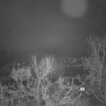 Webcam_20231213-060000