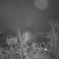Webcam_20231213-061500