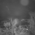 Webcam_20231213-073000