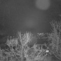 Webcam_20231213-074500