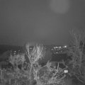 Webcam_20231213-083000
