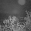 Webcam_20231214-050000