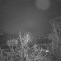 Webcam_20231214-060000
