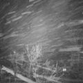 Webcam_20231214-061500