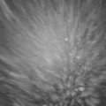 Webcam_20231214-063000