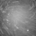 Webcam_20231214-064500